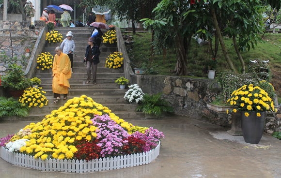Lễ hội hoa c&uacute;c rực rỡ ở Quảng Ninh